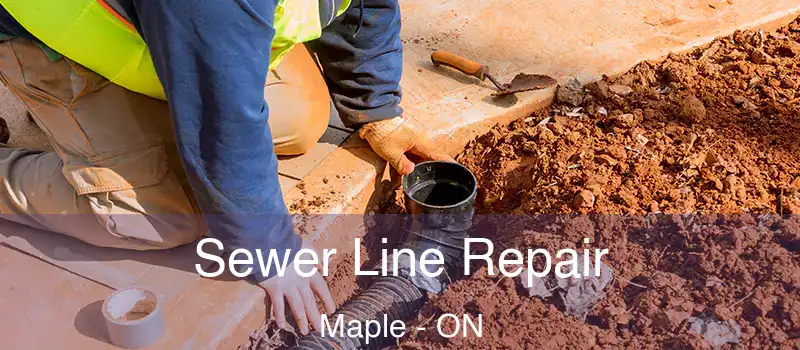  Sewer Line Repair Maple - ON