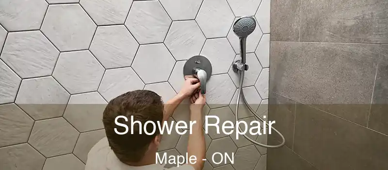  Shower Repair Maple - ON