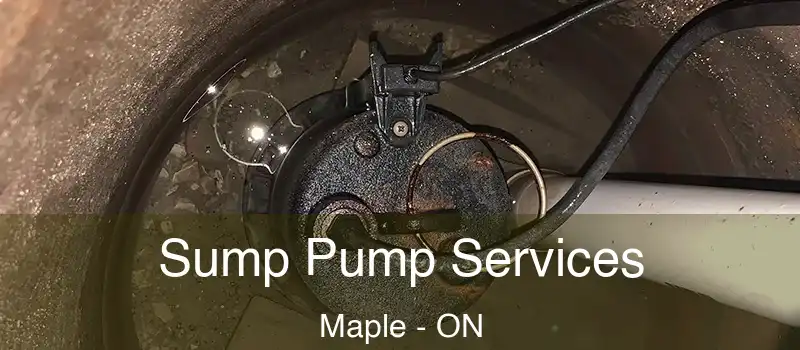  Sump Pump Services Maple - ON