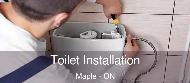  Toilet Installation Maple - ON
