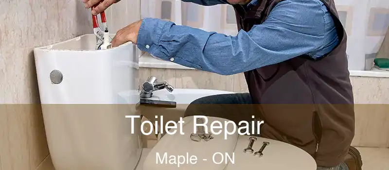  Toilet Repair Maple - ON