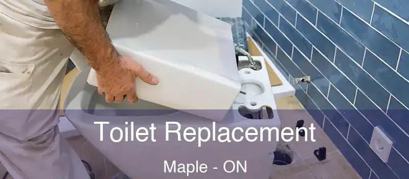  Toilet Replacement Maple - ON