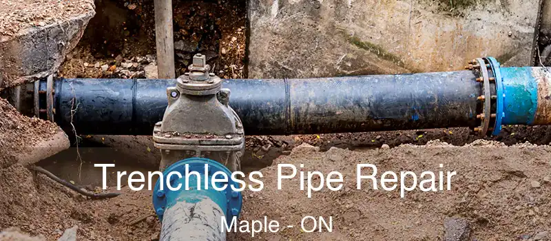  Trenchless Pipe Repair Maple - ON