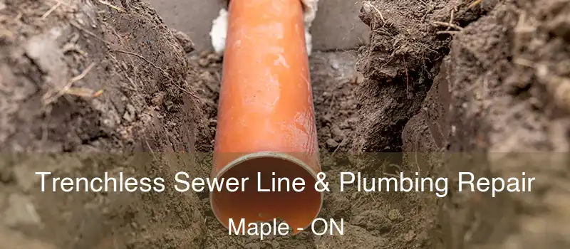  Trenchless Sewer Line & Plumbing Repair Maple - ON
