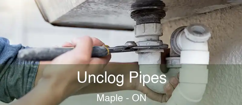  Unclog Pipes Maple - ON