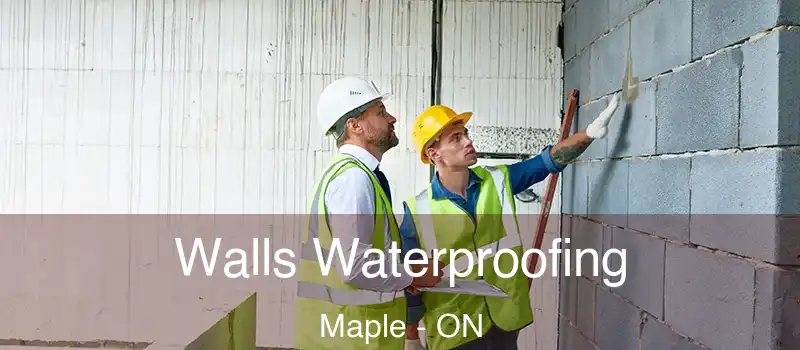  Walls Waterproofing Maple - ON