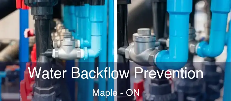  Water Backflow Prevention Maple - ON