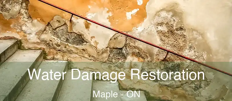  Water Damage Restoration Maple - ON