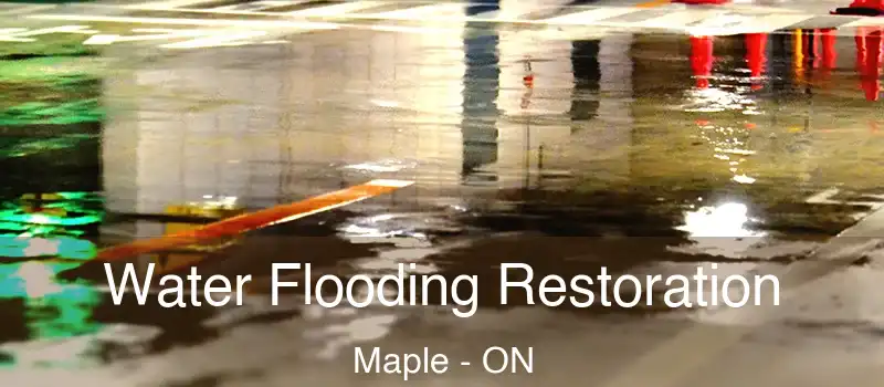  Water Flooding Restoration Maple - ON