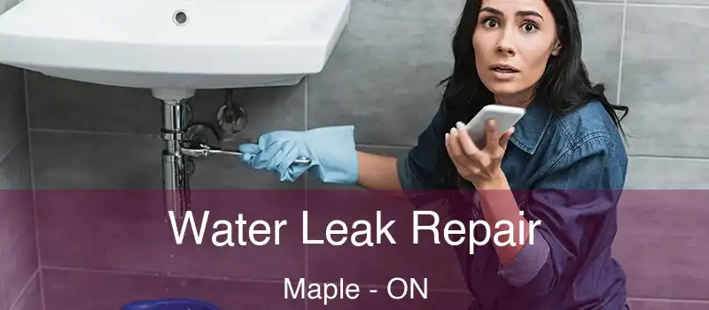  Water Leak Repair Maple - ON