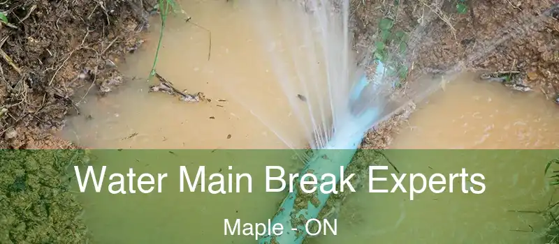  Water Main Break Experts Maple - ON