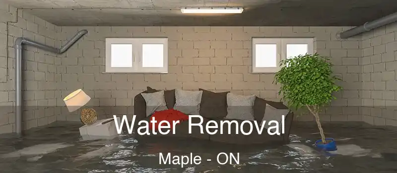  Water Removal Maple - ON