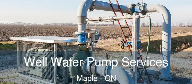  Well Water Pump Services Maple - ON
